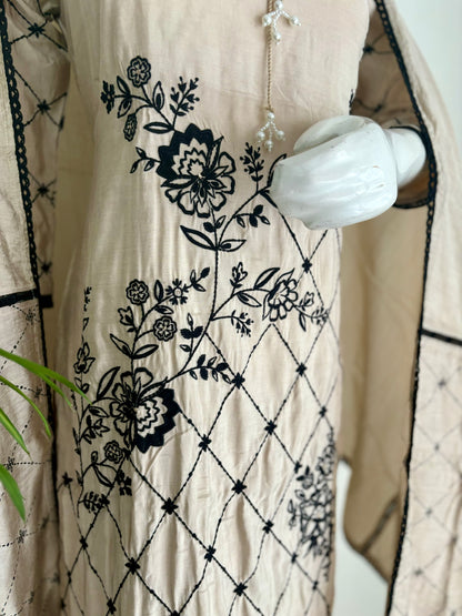 Beige Beauty Silk Kurta with Black Embroidery Set